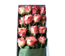FR0033_16orange roses gift box from$69.99M: $99.99 L:$149.99free chocolate